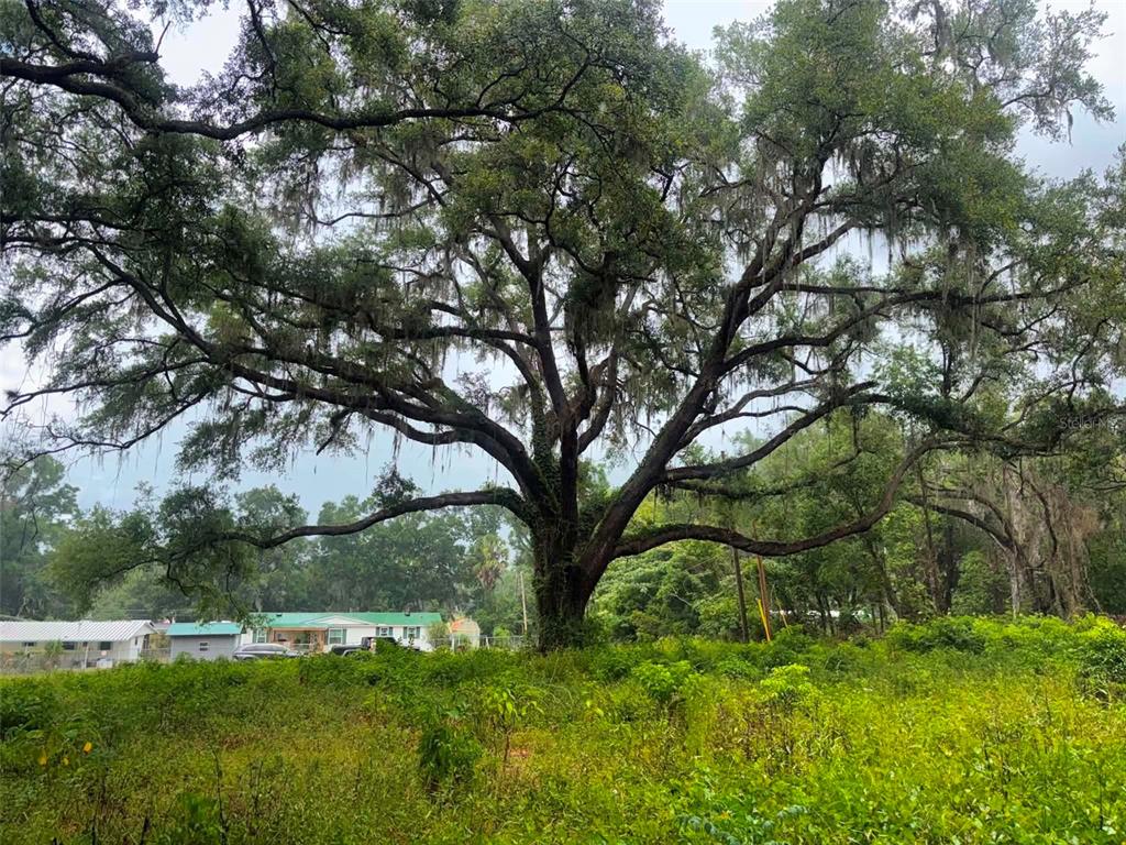 Property for sale at 6360 SE 145TH PLACE, SUMMERFIELD, FL, 34491