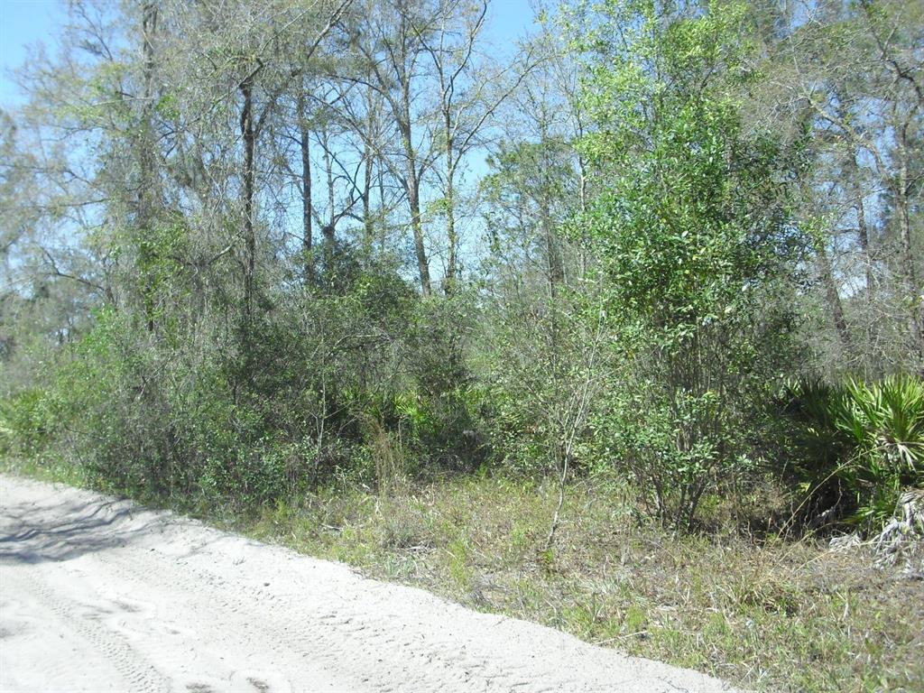 Heading East on SW 158th Lane - Lot on Right