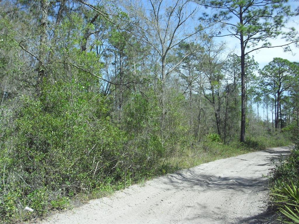 Heading East on SW 158th Lane - Lot on Left