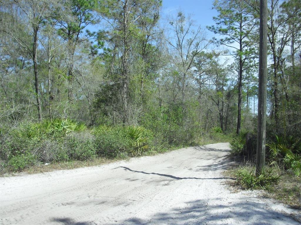 Heading East on SW 158th Lane - Lot on Left