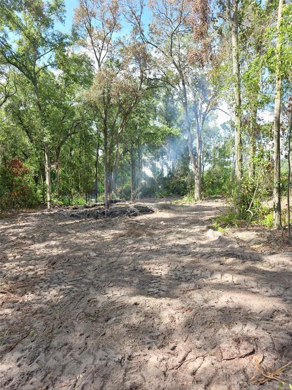 Property for sale at Lot 111 NW 70TH AVENUE, TRENTON, FL, 32693