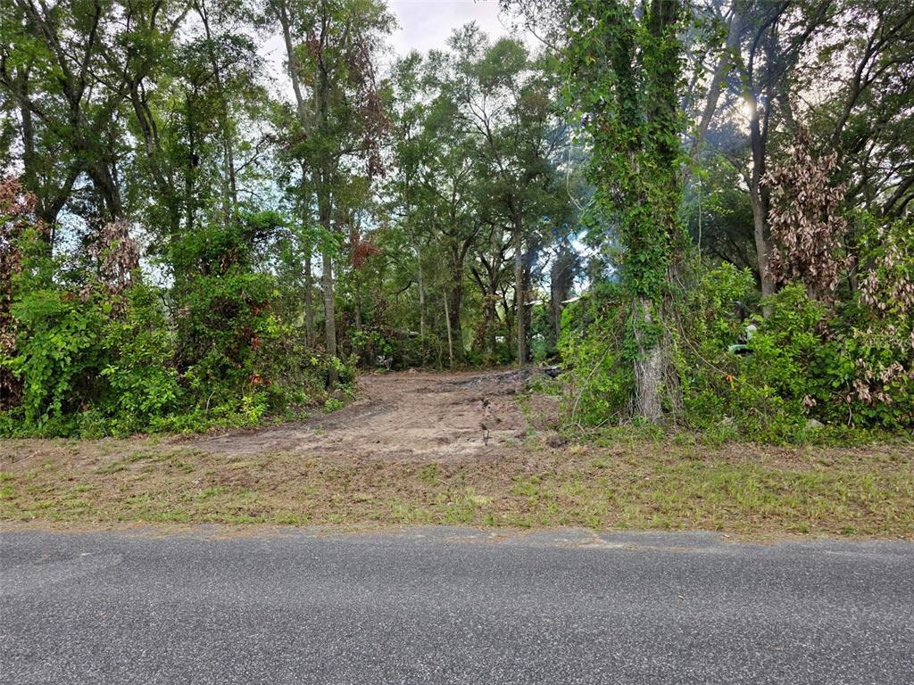 Property for sale at Lot 111 NW 70TH AVENUE, TRENTON, FL, 32693