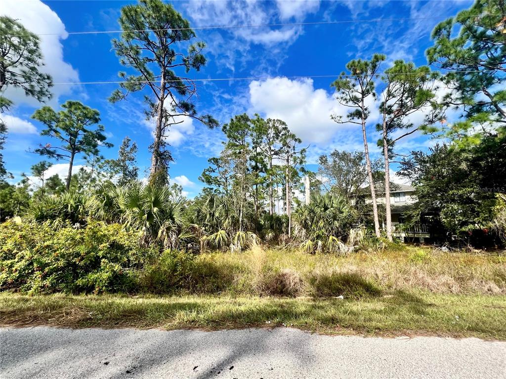 Property for sale at 27372 LAS LOMAS DRIVE, PUNTA GORDA, FL, 33955