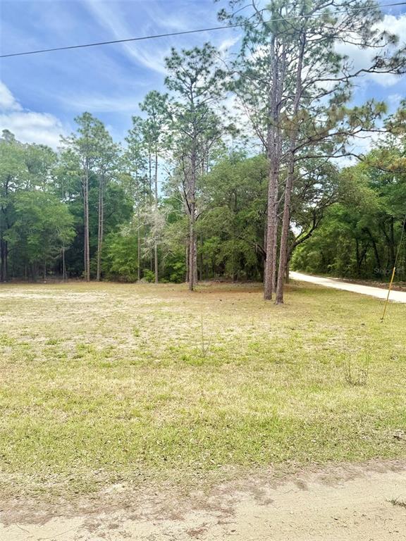 Property for sale at TBD SW 158TH AVE LOT 16, OCALA, FL, 34481