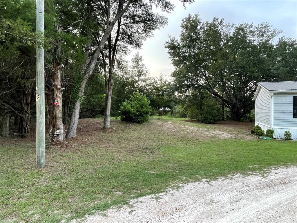 left side of house.  septic mound