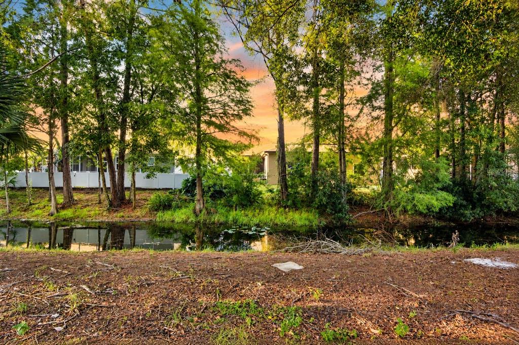 Property for sale at 7207 OTTER CREEK DRIVE, NEW PORT RICHEY, FL, 34655