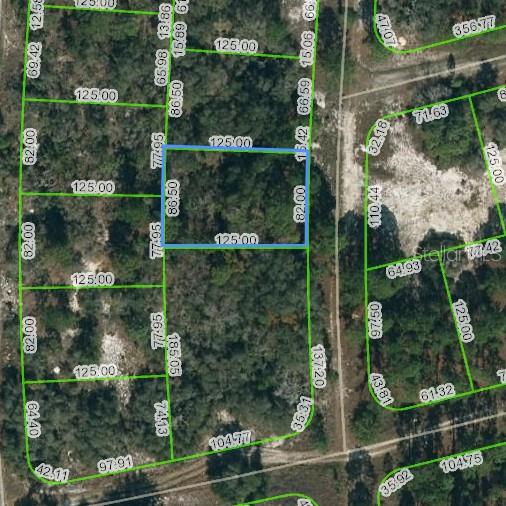 Property for sale at 244 BLUE HORIZON DRIVE, LAKE PLACID, FL, 33852