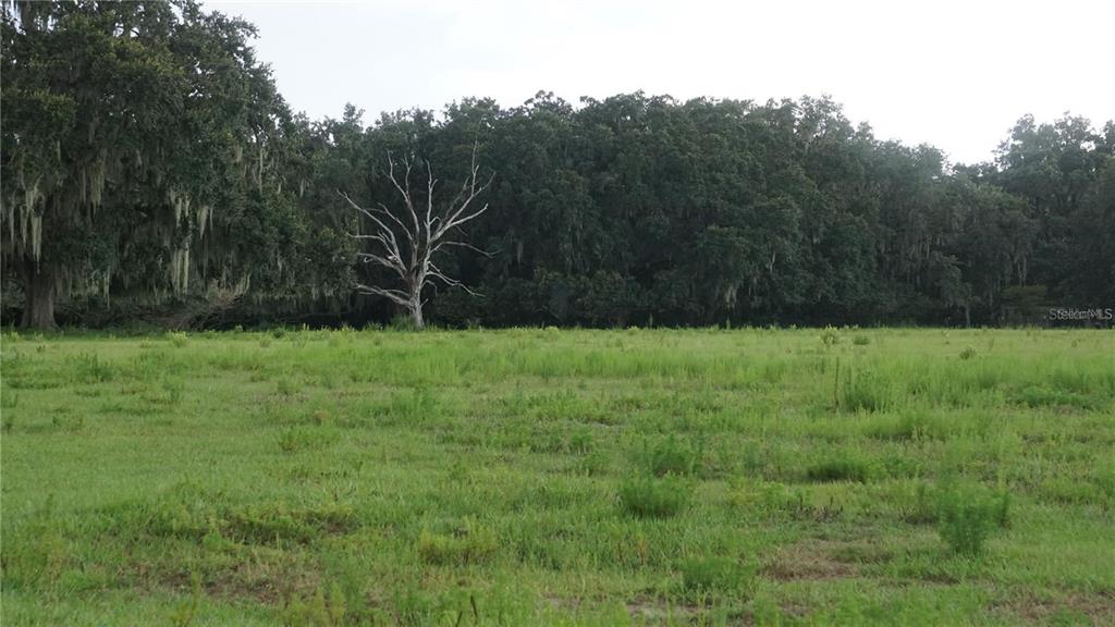 Property for sale at DURANT RD, DOVER, FL, 33527