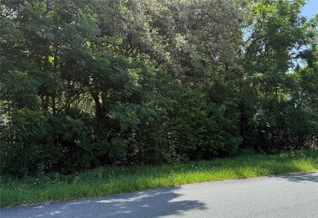 Property for sale at HUTCHINSON WAY, LADY LAKE, FL, 32159
