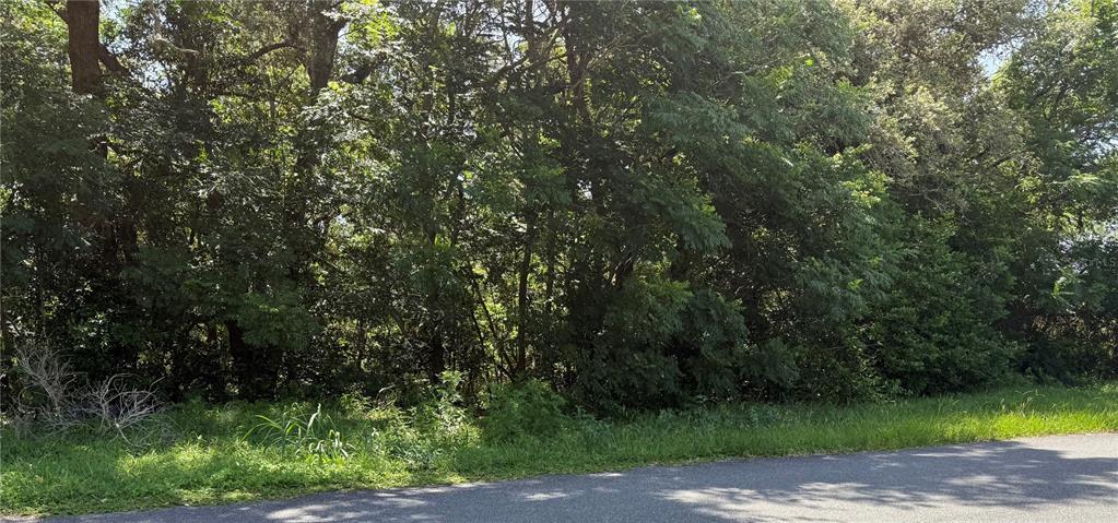 Property for sale at HUTCHINSON WAY, LADY LAKE, FL, 32159