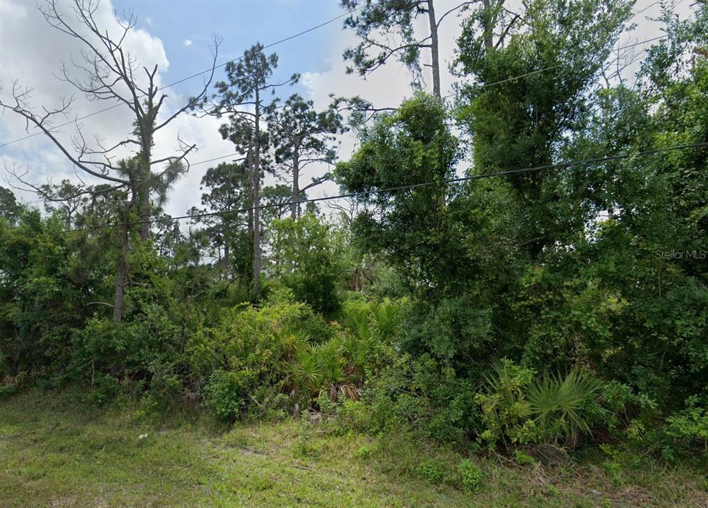 Property for sale at 12519 PATSY AVENUE, PORT CHARLOTTE, FL, 33981