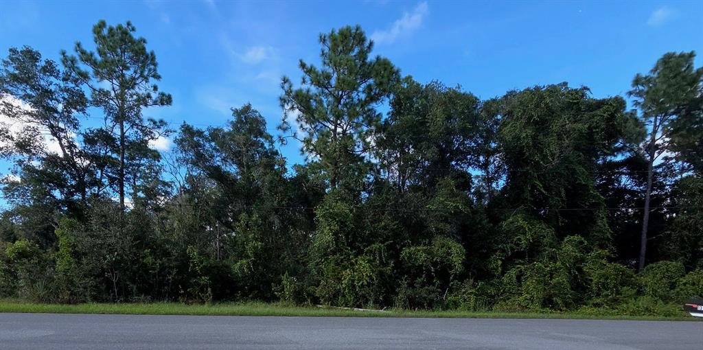Property for sale at 13155 SADDLE WAY, BROOKSVILLE, FL, 34613