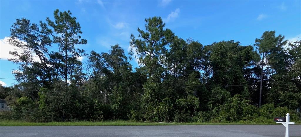 Property for sale at 13155 SADDLE WAY, BROOKSVILLE, FL, 34613