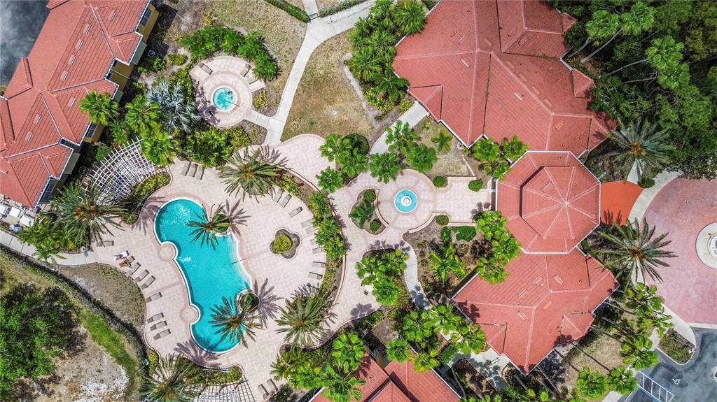 Resort Style Amenities