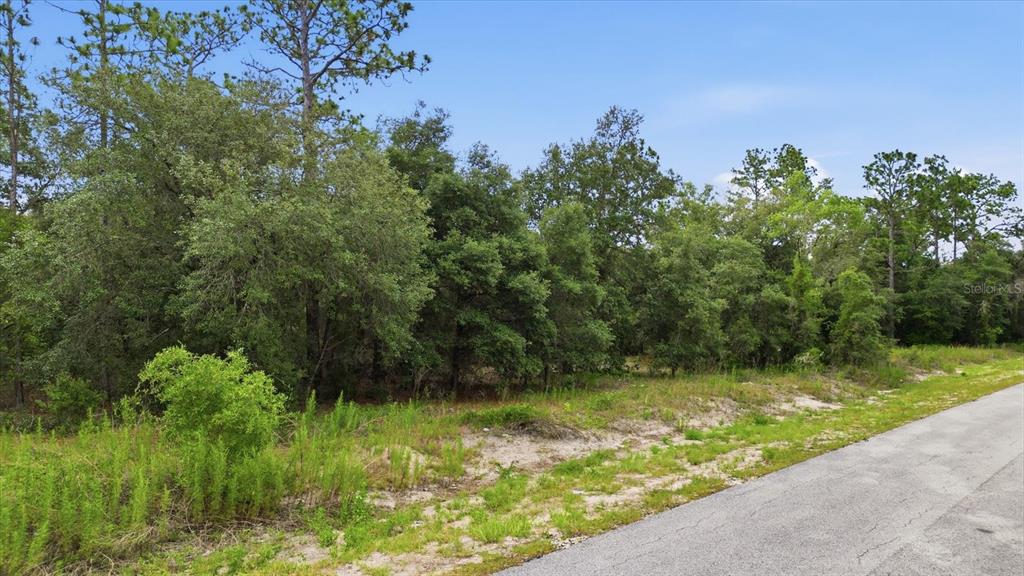 Property for sale at 0000 SW SANDS PT AVE LOT 32, DUNNELLON, FL, 34431