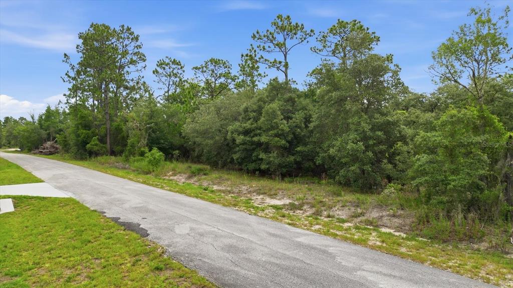 Property for sale at 0000 SW SANDS PT AVE LOT 32, DUNNELLON, FL, 34431