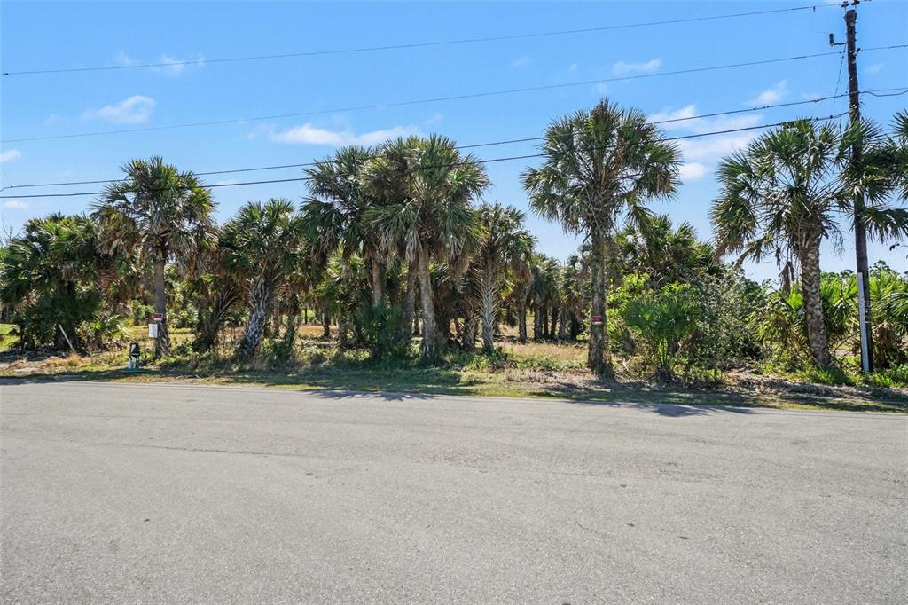 Property for sale at 24383 JEAN LA FITTE BOULEVARD, PUNTA GORDA, FL, 33955