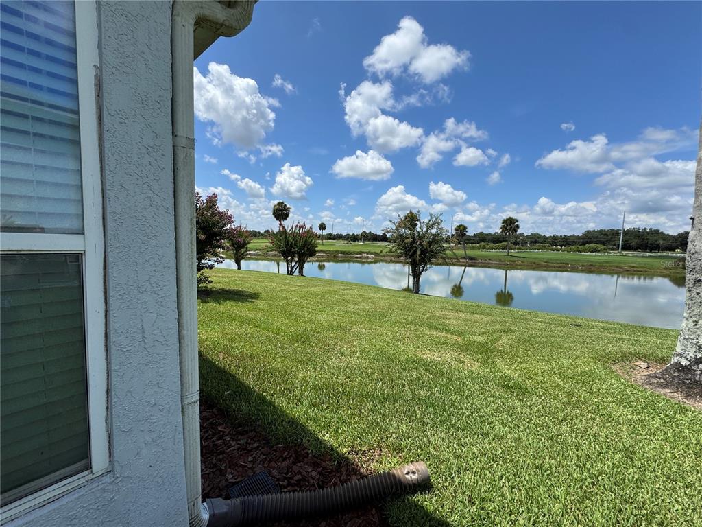 View from back of Home