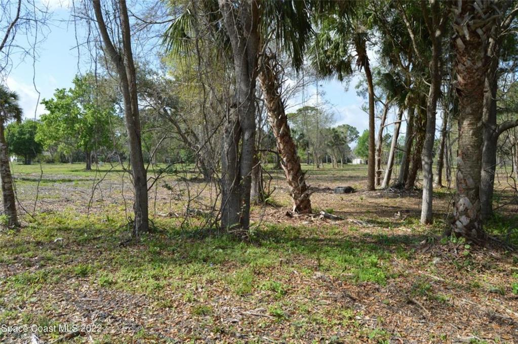 Property for sale at 3500 US HIGHWAY 1, MIMS, FL, 32754