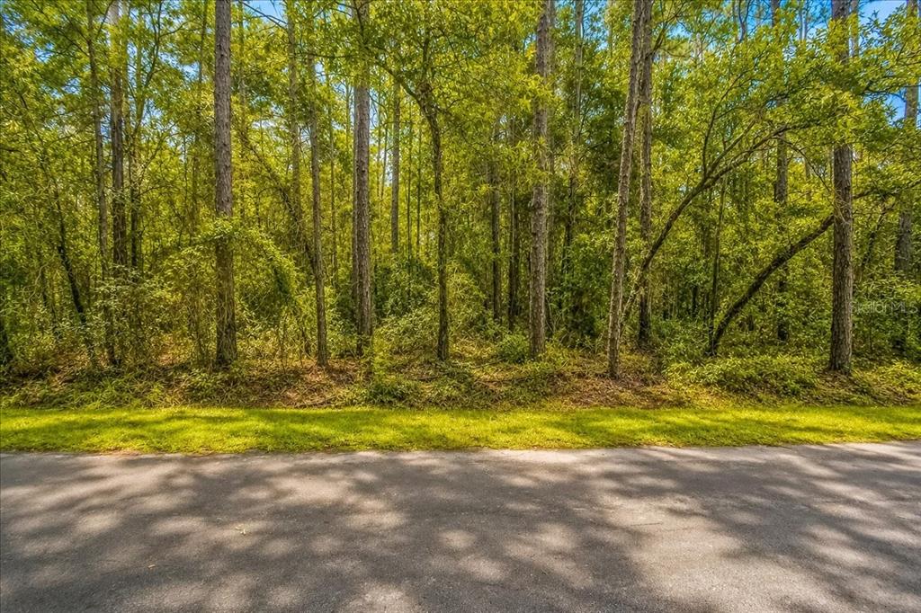 Property for sale at 000 SW 34TH STREET, DUNNELLON, FL, 34432