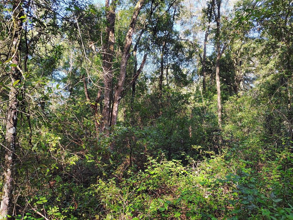 Property for sale at SW 158TH LANE, DUNNELLON, FL, 34432