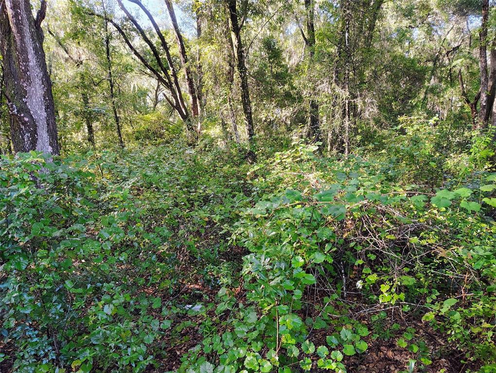 Property for sale at SW 158TH LANE, DUNNELLON, FL, 34432