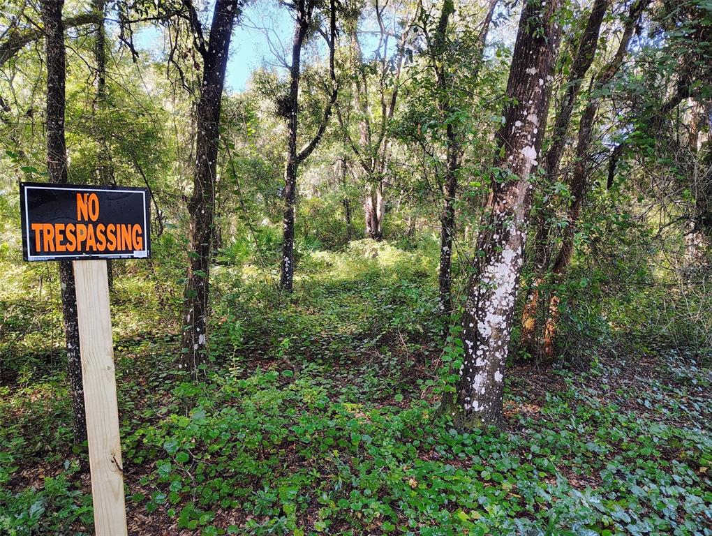 Property for sale at SW 158TH LANE, DUNNELLON, FL, 34432