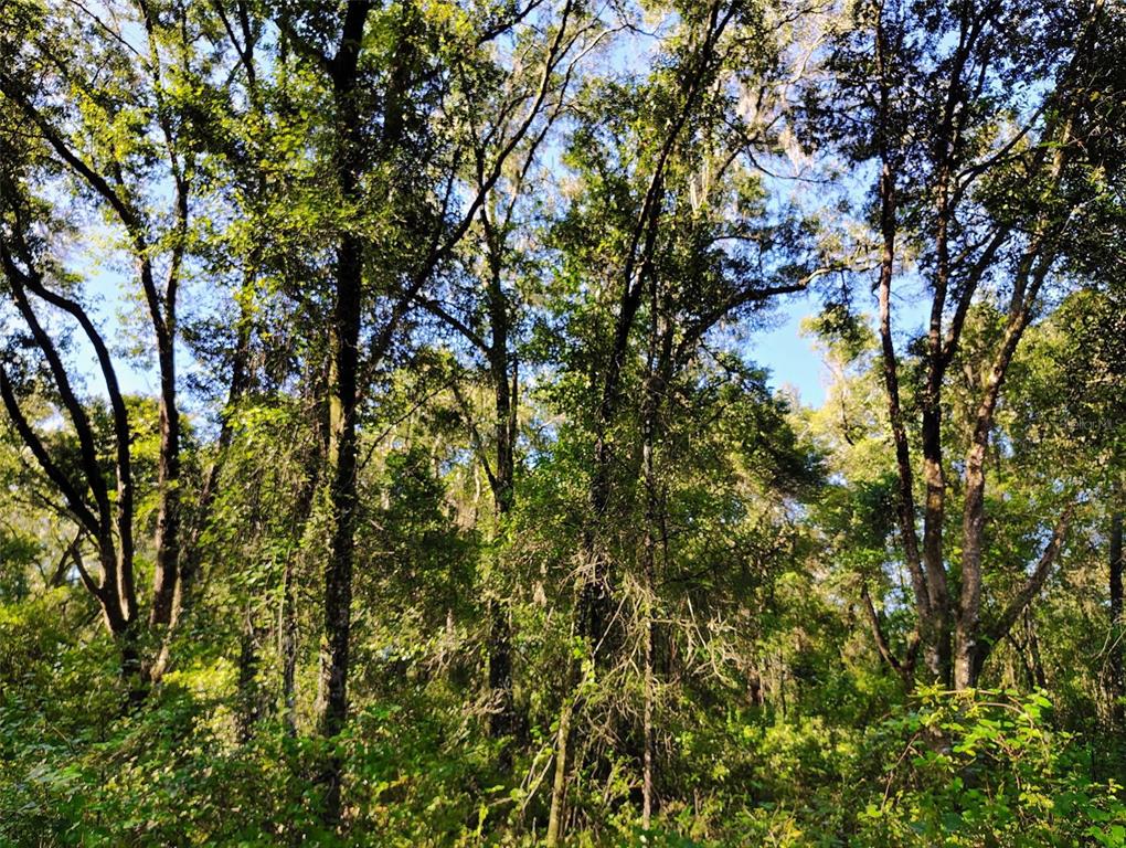 Property for sale at SW 158TH LANE, DUNNELLON, FL, 34432