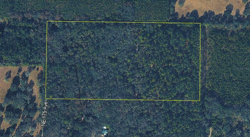 Property for sale at 0000 NE 175TH AVENUE, WILLISTON, FL, 32696