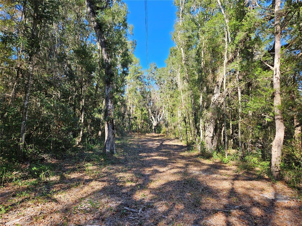 Property for sale at 0000 NE 175TH AVENUE, WILLISTON, FL, 32696