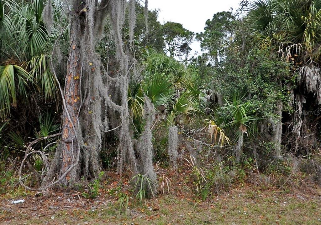 Property for sale at SHADY AVENUE, NORTH PORT, FL, 34286