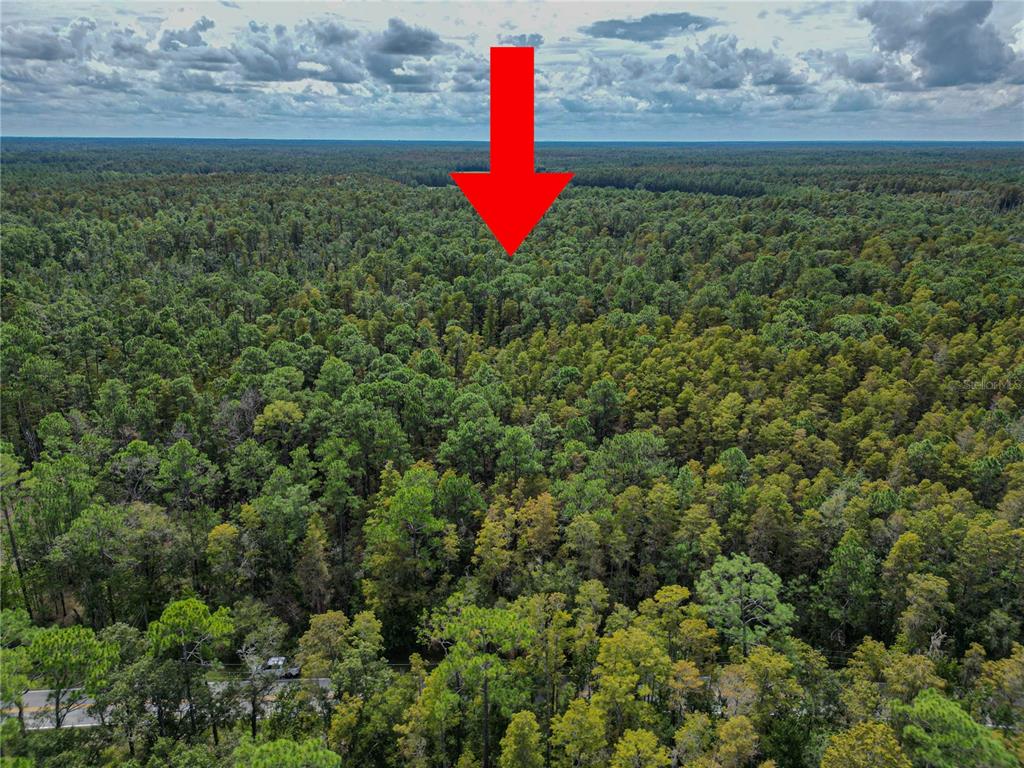 Property for sale at 0 POYNER OAKS ROAD N, POLK CITY, FL, 33868