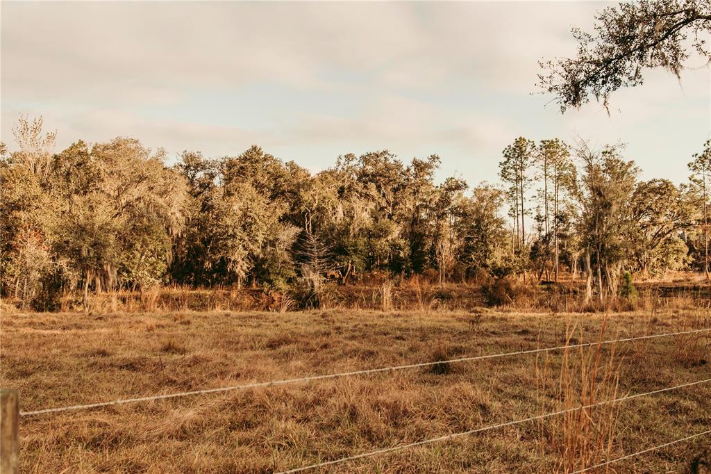Property for sale at 0 N DORMANY ROAD, PLANT CITY, FL, 33565