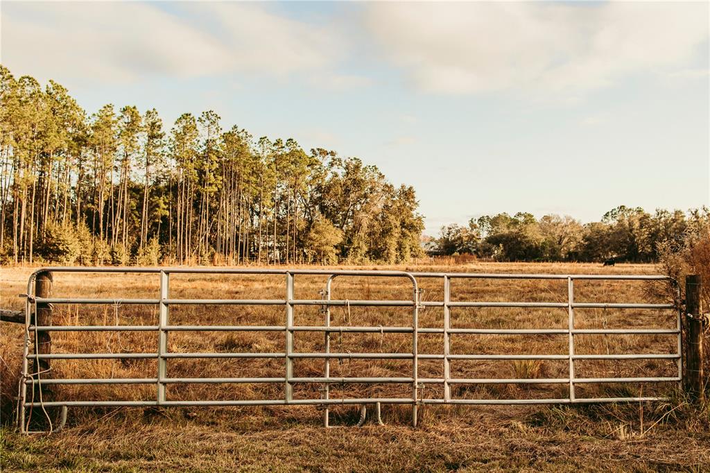 Property for sale at 0 N DORMANY ROAD, PLANT CITY, FL, 33565