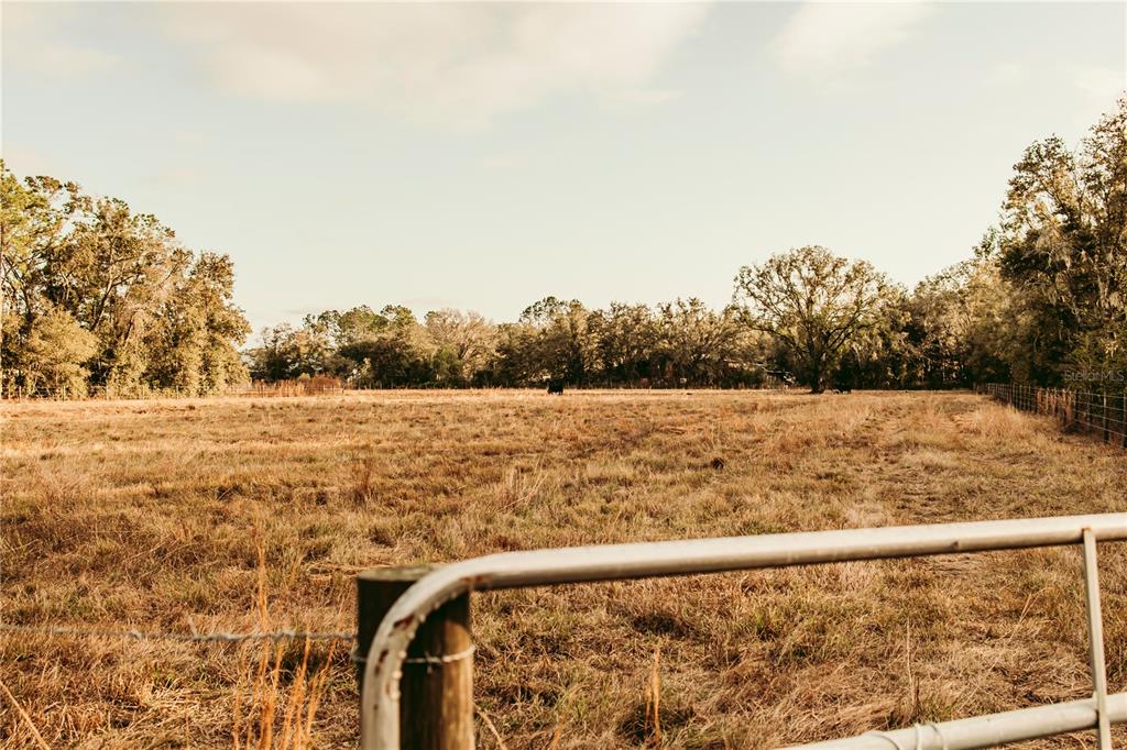Property for sale at 0 N DORMANY ROAD, PLANT CITY, FL, 33565