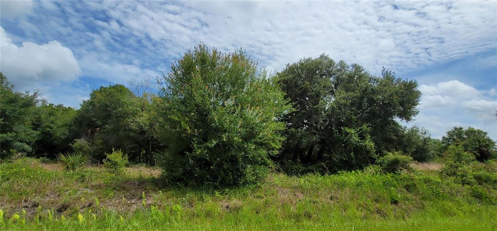 Property for sale at NW 268TH STREET LOT N, OKEECHOBEE, FL, 34972
