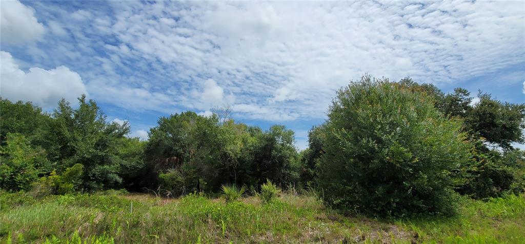 Property for sale at NW 268TH STREET LOT N, OKEECHOBEE, FL, 34972