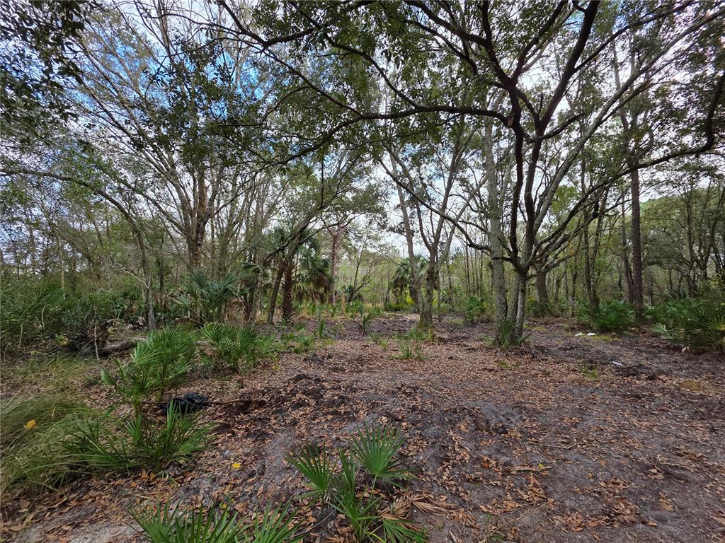 Property for sale at 0 STATE ROAD 60 E, LAKE WALES, FL, 33898