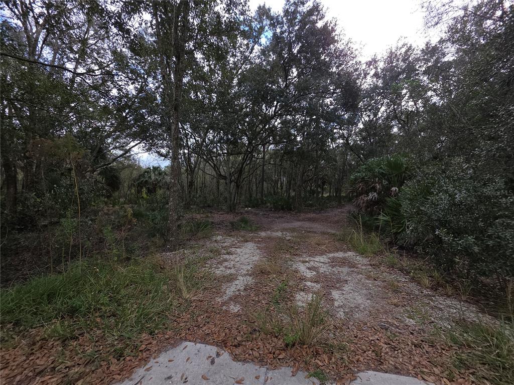 Property for sale at 0 STATE ROAD 60 E, LAKE WALES, FL, 33898