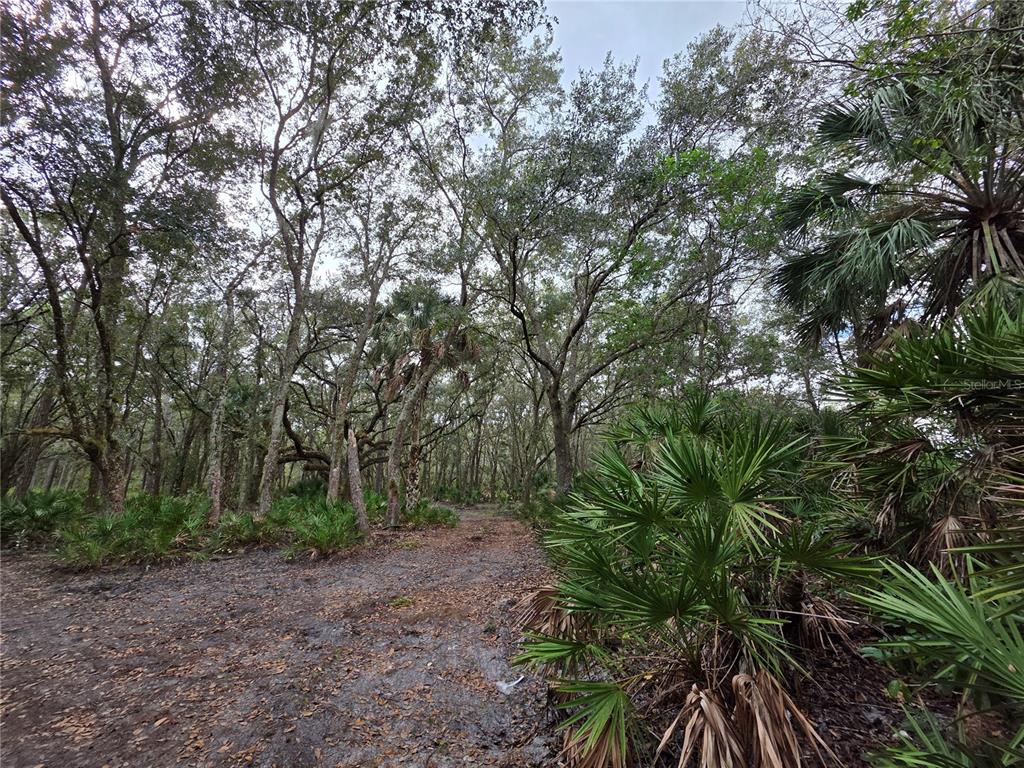 Property for sale at 0 STATE ROAD 60 E, LAKE WALES, FL, 33898