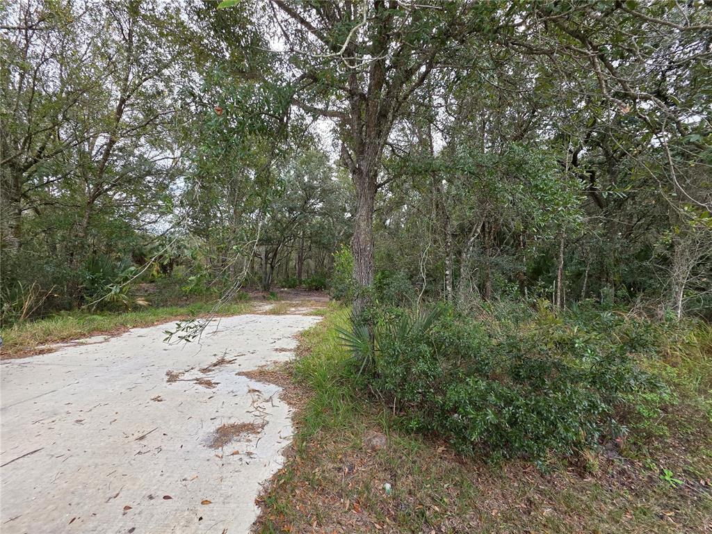 Property for sale at 0 STATE ROAD 60 E, LAKE WALES, FL, 33898