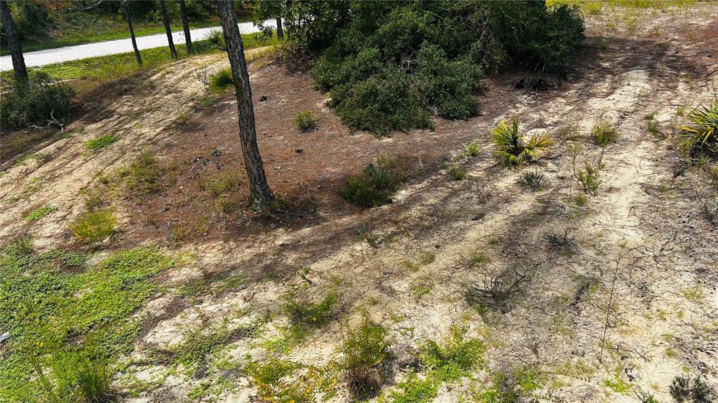 Property for sale at 486 DREAMLAND DRIVE, LAKE PLACID, FL, 33852