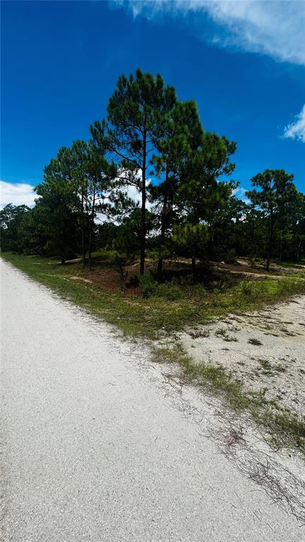 Property for sale at 486 DREAMLAND DRIVE, LAKE PLACID, FL, 33852