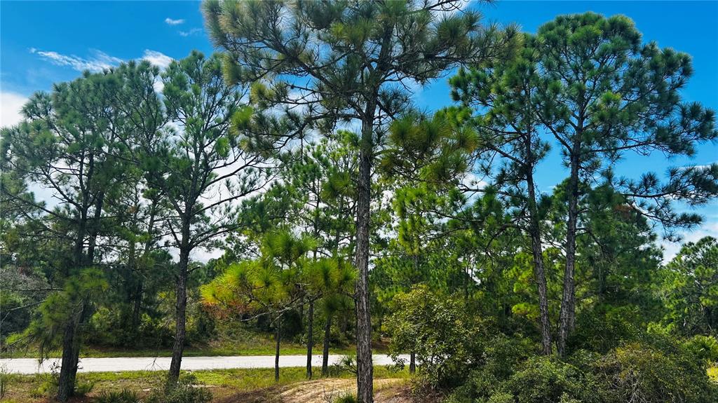 Property for sale at 486 DREAMLAND DRIVE, LAKE PLACID, FL, 33852