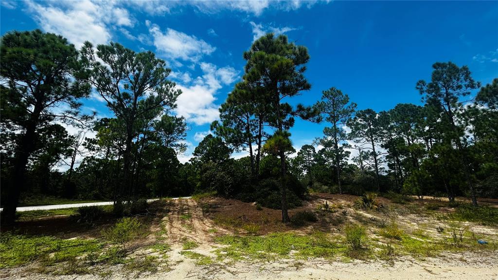 Property for sale at 486 DREAMLAND DRIVE, LAKE PLACID, FL, 33852