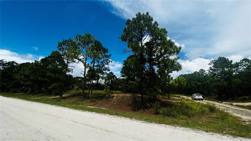 Property for sale at 486 DREAMLAND DRIVE, LAKE PLACID, FL, 33852