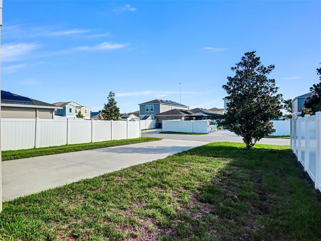 Rear Driveway