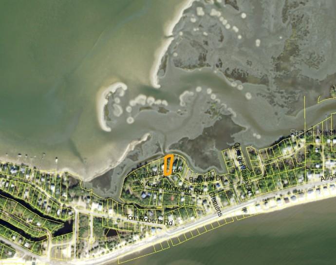 Property for sale at 1294 PENINSULAR STREET, PANACEA, FL, 32346