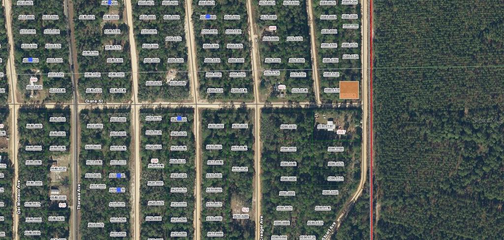Property for sale at DIANE STREET, INTERLACHEN, FL, 32148