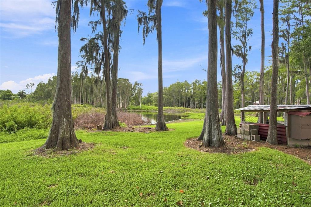 Property for sale at 210 LAKE HOBBS ROAD, LUTZ, FL, 33548